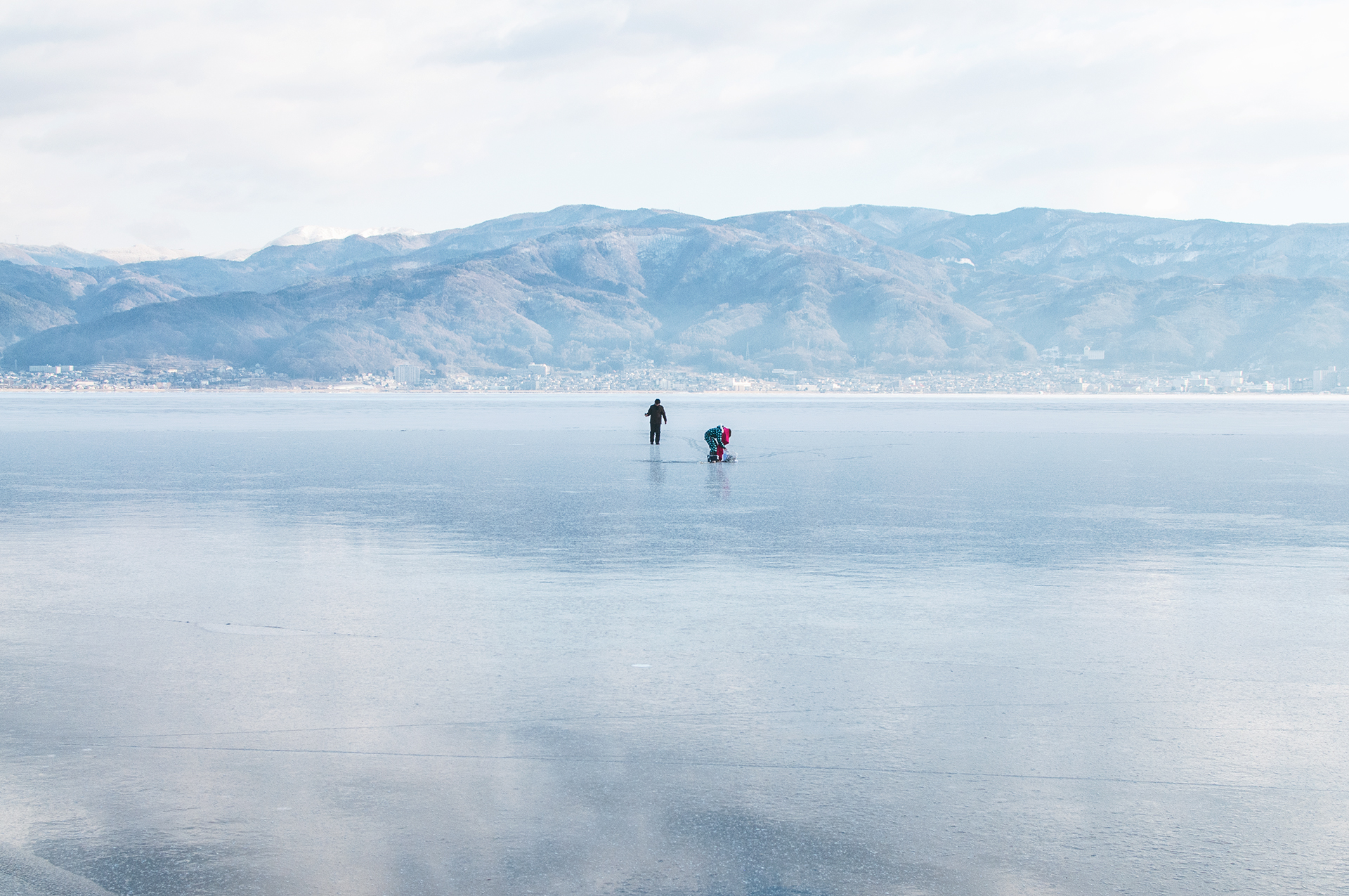 swan 写真家 阿部 祐己